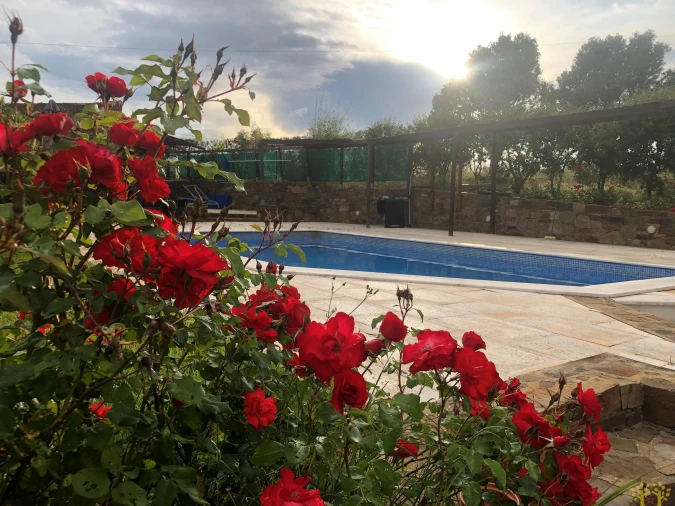 Moradia T4 para Venda em Tavira (Santa Maria e Santiago) Foto 52