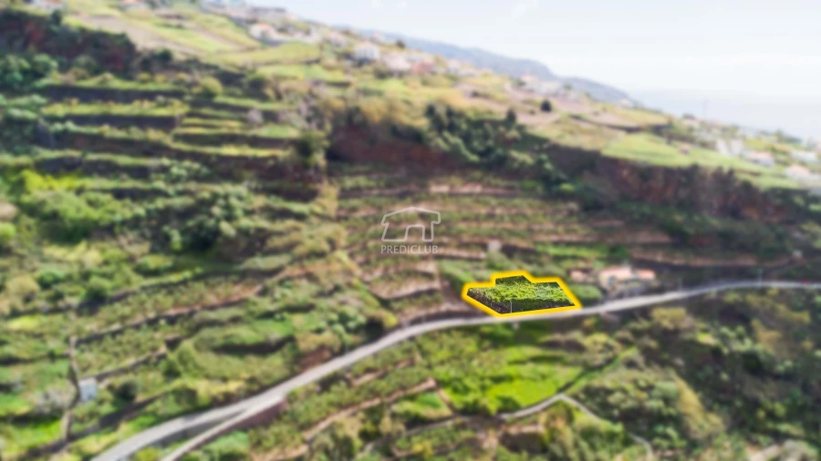 Terreno para Venda em Ribeira Brava Foto 2