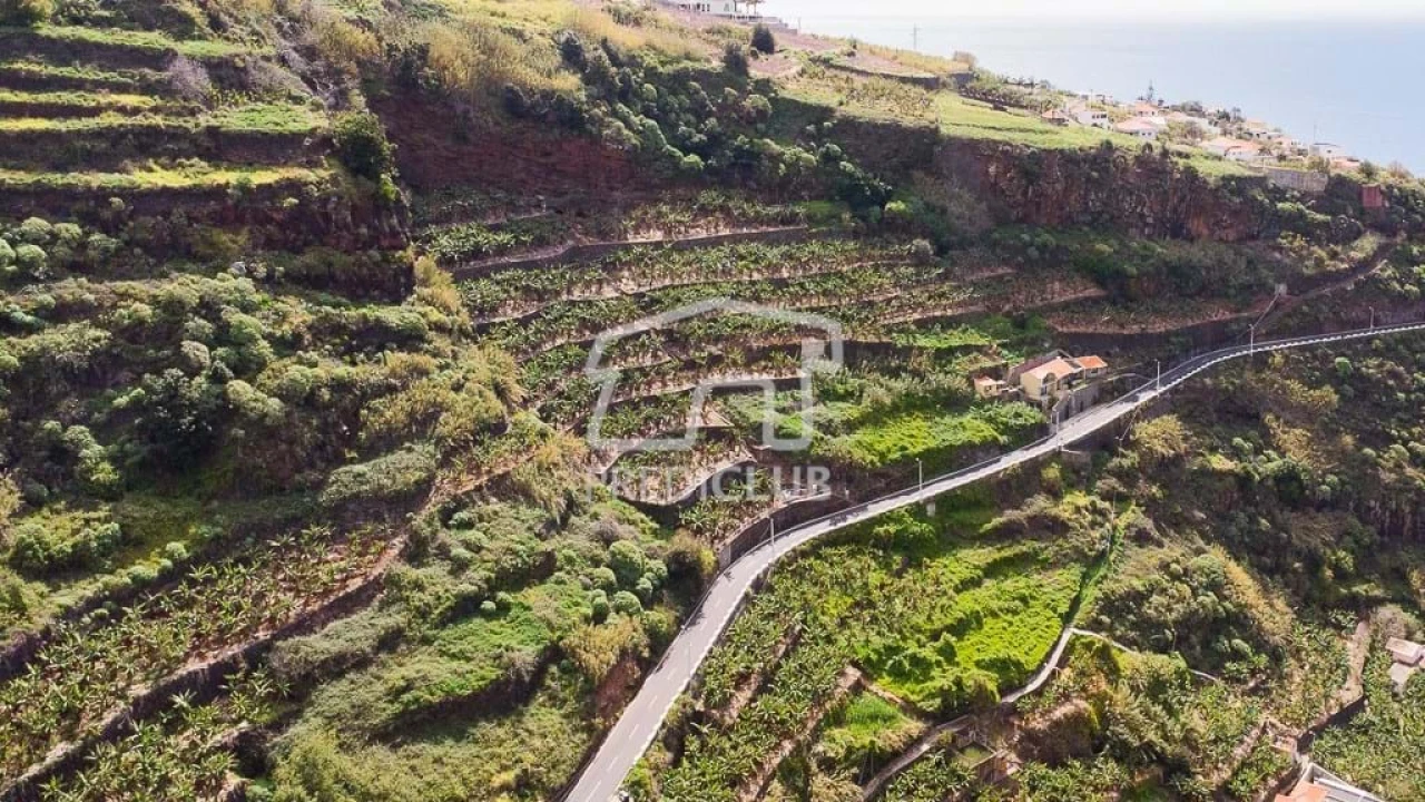 Terreno para Venda em Ribeira Brava Foto 4