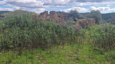 Terreno para Venda em Silves