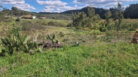 Terreno para Venda em Silves