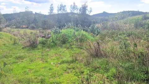 Terreno para Venda em Silves