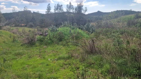 Terreno para Venda em Silves