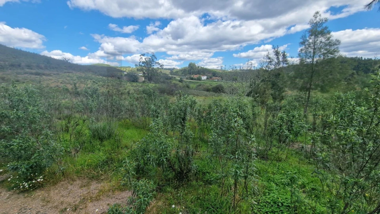 Terreno para Venda em Silves Foto 13