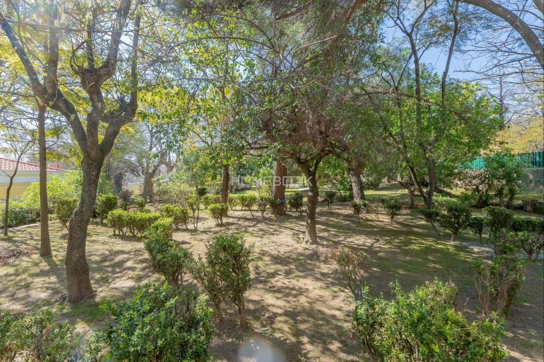 Moradia T8 para Venda em Penha de França Foto 23