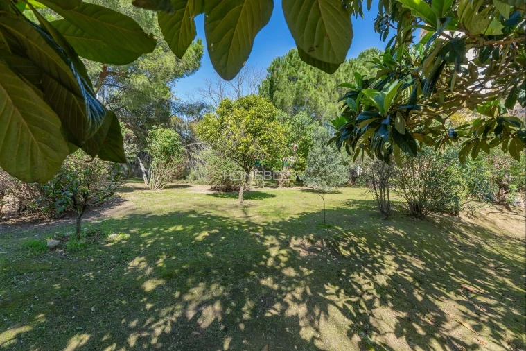 Moradia T8 para Venda em Penha de França Foto 48