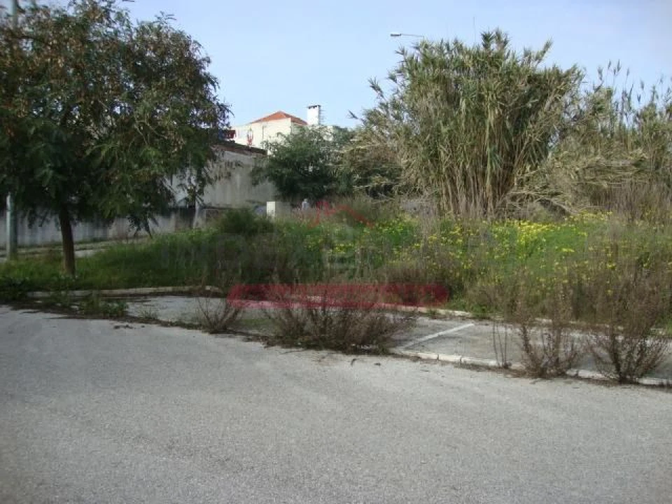 Terreno para Venda em Buarcos Foto 4