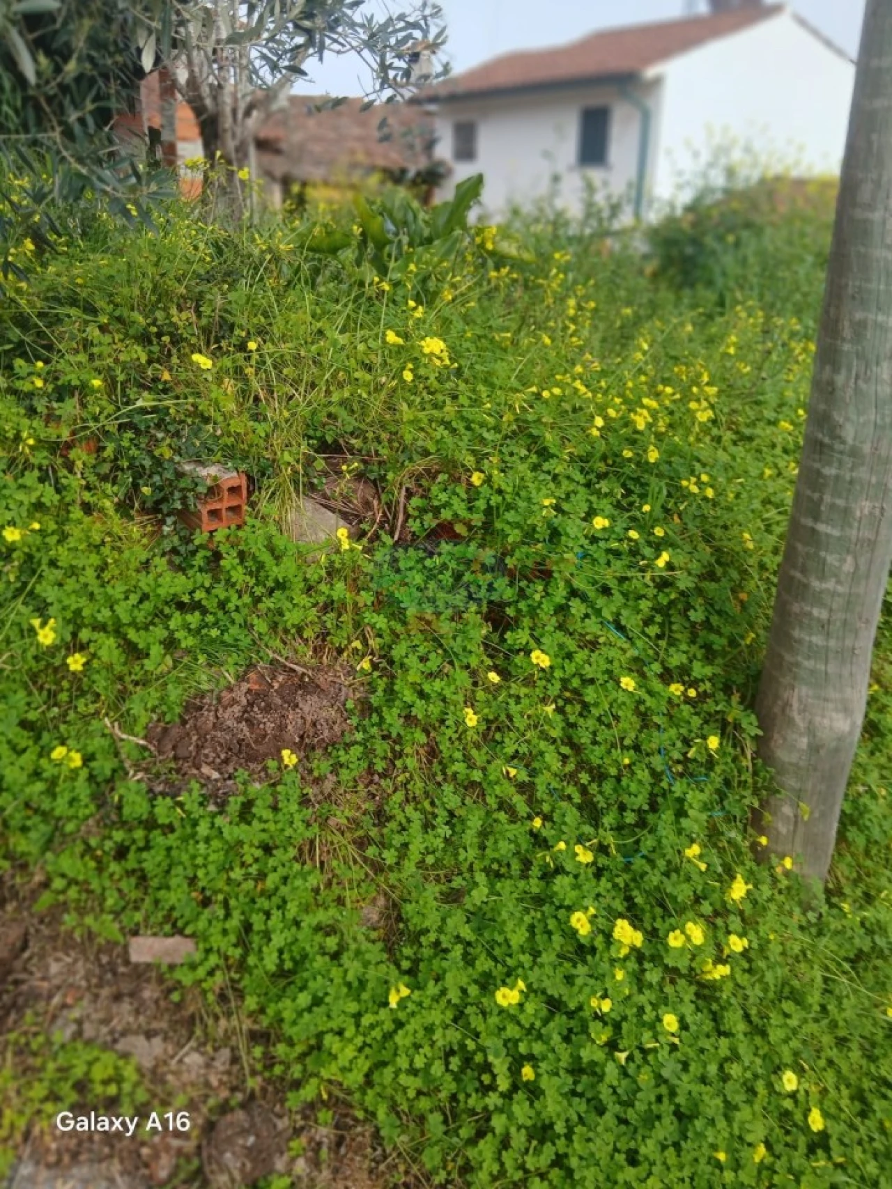 Moradia T2 para Venda em Miranda do Corvo Foto 7