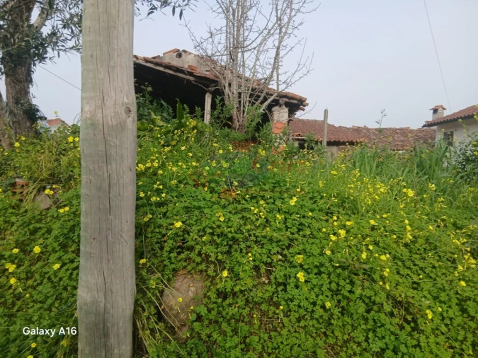 Moradia T2 para Venda em Miranda do Corvo Foto 5