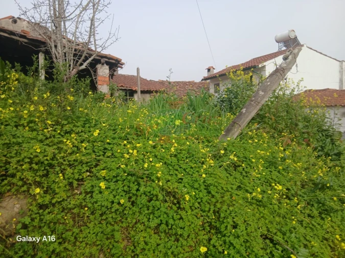 Moradia T2 para Venda em Miranda do Corvo Foto 6