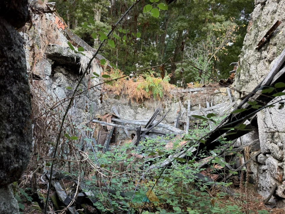 Terreno para Venda em Senharei Foto 27