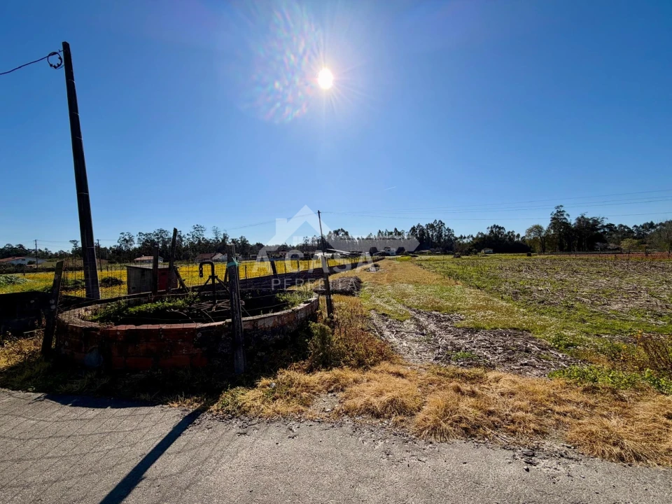 Terreno para Venda em Valega Foto 4