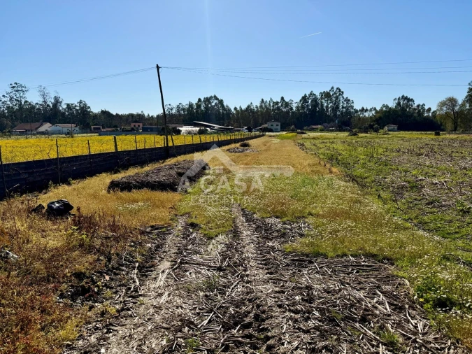 Terreno para Venda em Valega
