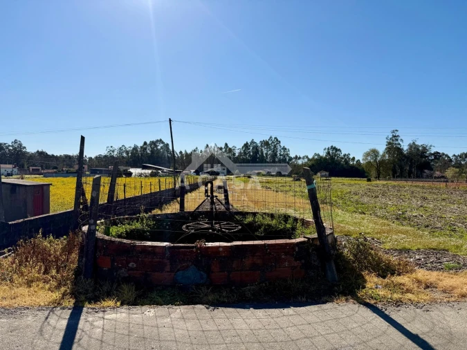 Terreno para Venda em Valega Foto 2