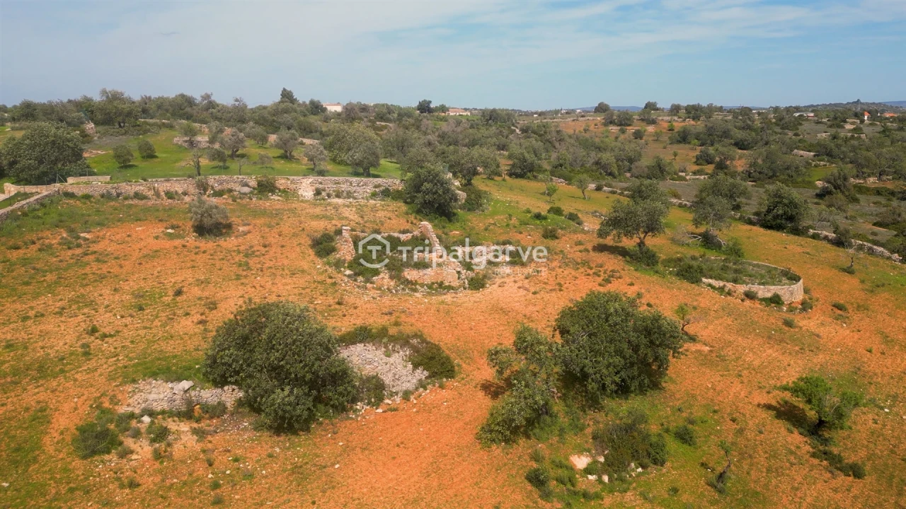 Terreno Misto para Venda em Ferreiras Foto 18