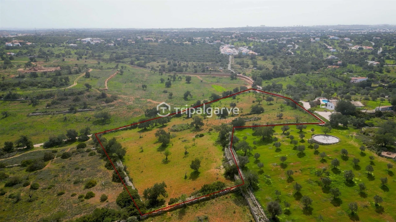 Terreno Misto para Venda em Ferreiras Foto 1
