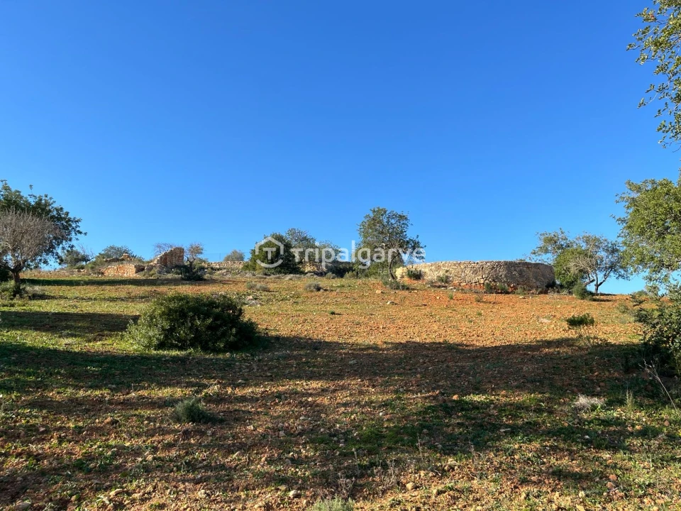 Terreno Misto para Venda em Ferreiras Foto 14