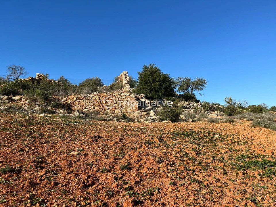 Terreno Misto para Venda em Ferreiras Foto 3