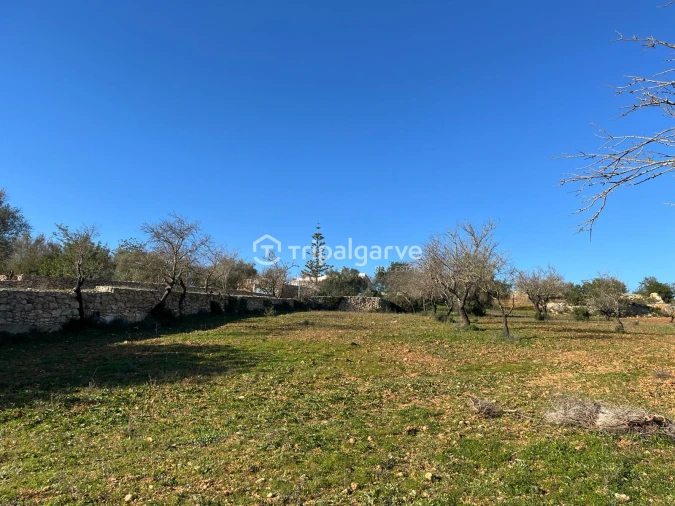 Terreno Misto para Venda em Ferreiras Foto 2