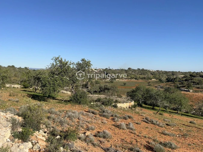Terreno Misto para Venda em Ferreiras Foto 9