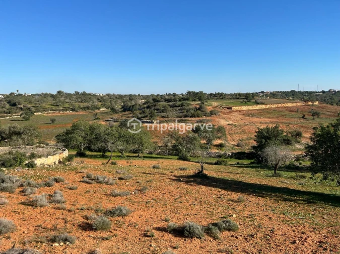 Terreno Misto para Venda em Ferreiras Foto 6
