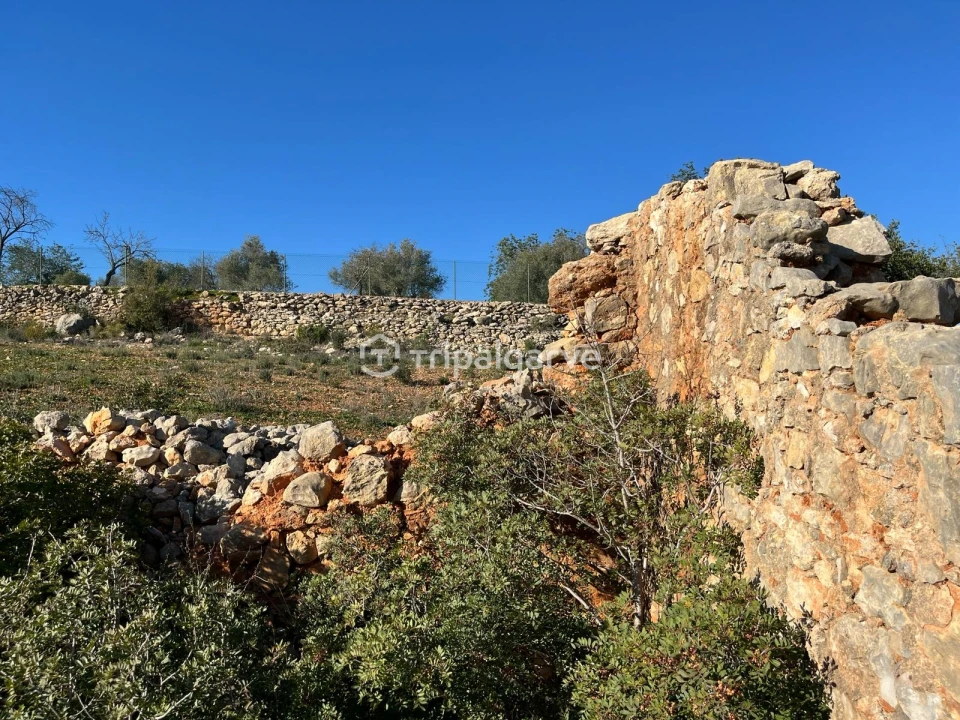 Terreno Misto para Venda em Ferreiras Foto 5
