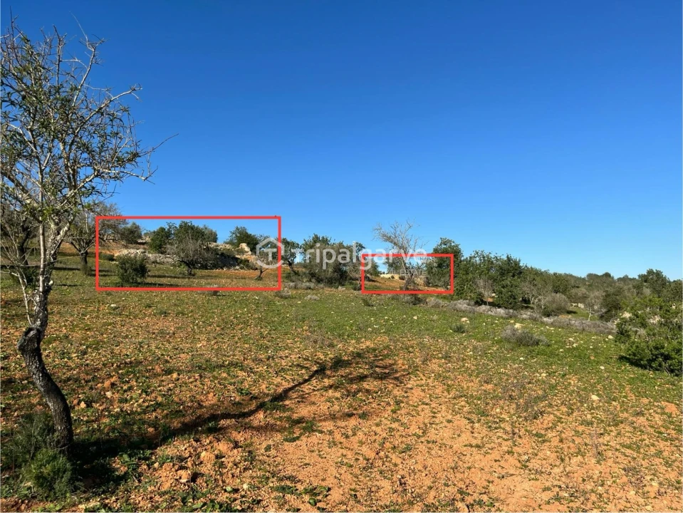 Terreno Misto para Venda em Ferreiras Foto 1