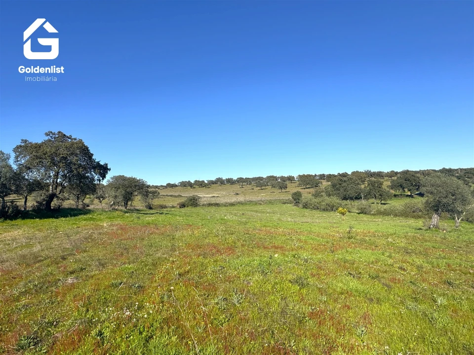 Quinta T0 para Venda em Idanha-A-Nova e Alcafozes Foto 18