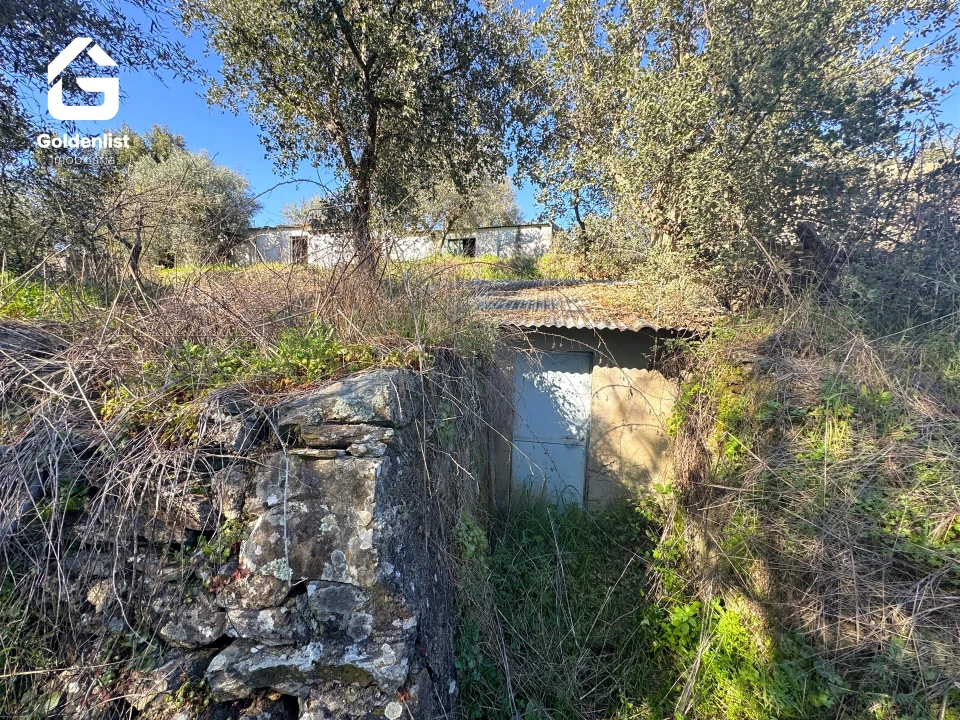 Quinta T0 para Venda em Idanha-A-Nova e Alcafozes Foto 27