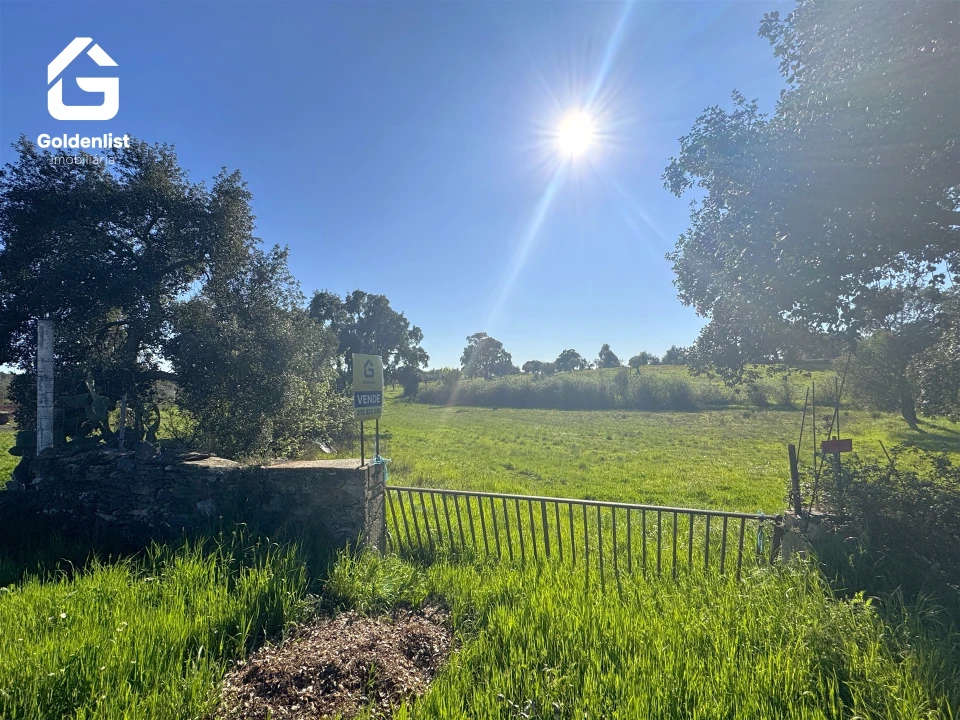 Quinta T0 para Venda em Idanha-A-Nova e Alcafozes Foto 38