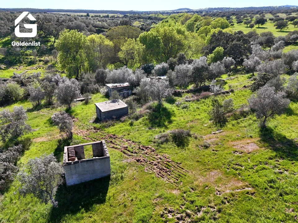 Quinta T0 para Venda em Idanha-A-Nova e Alcafozes Foto 4
