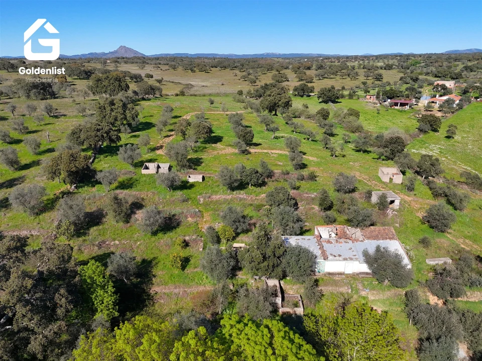 Quinta T0 para Venda em Idanha-A-Nova e Alcafozes Foto 3