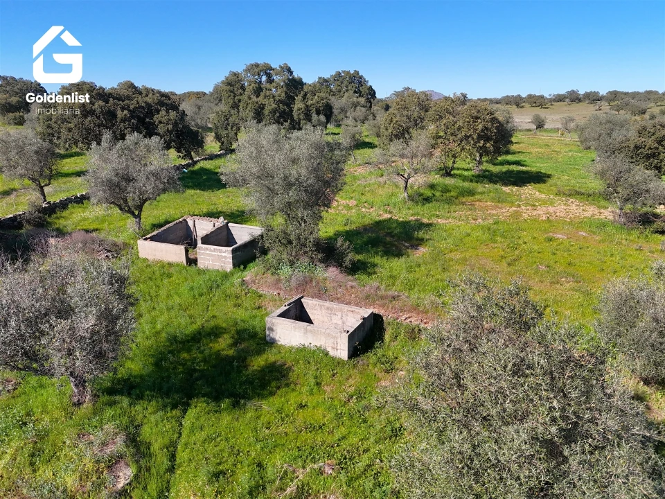 Quinta T0 para Venda em Idanha-A-Nova e Alcafozes Foto 11