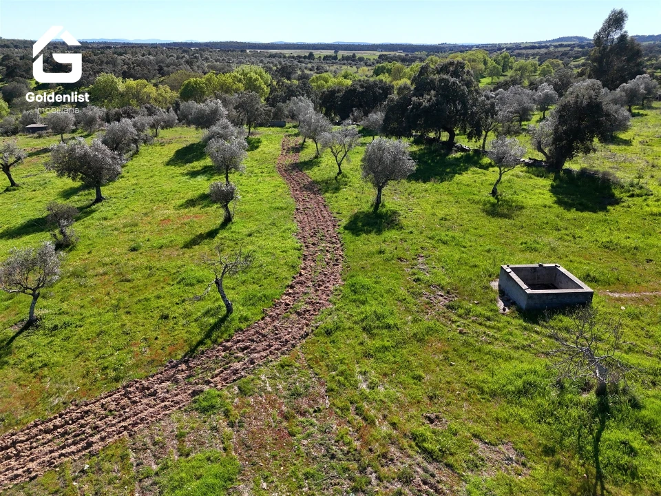 Quinta T0 para Venda em Idanha-A-Nova e Alcafozes Foto 8