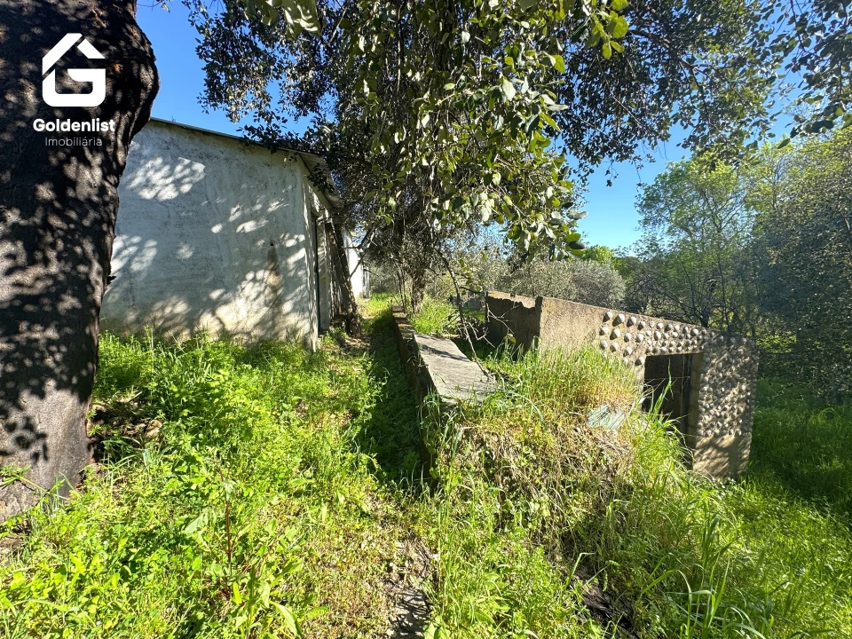 Quinta T0 para Venda em Idanha-A-Nova e Alcafozes Foto 24