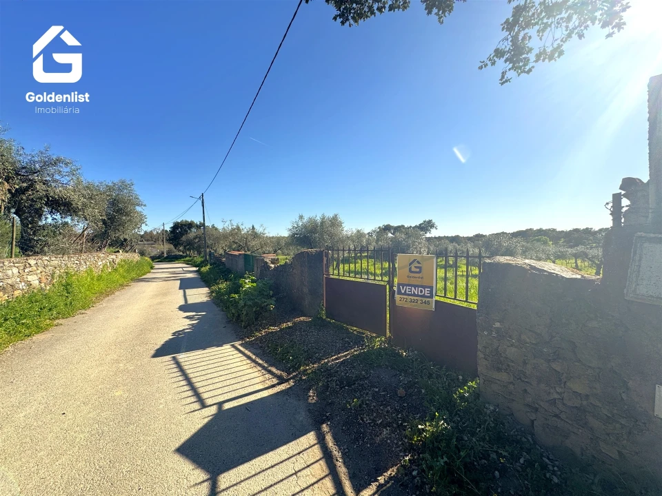 Quinta T0 para Venda em Idanha-A-Nova e Alcafozes Foto 15