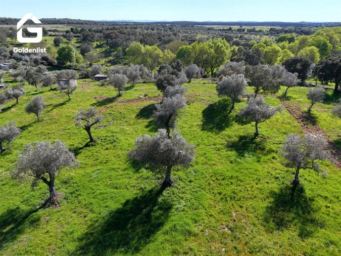 Quinta T0 para Venda em Idanha-A-Nova e Alcafozes Foto 9
