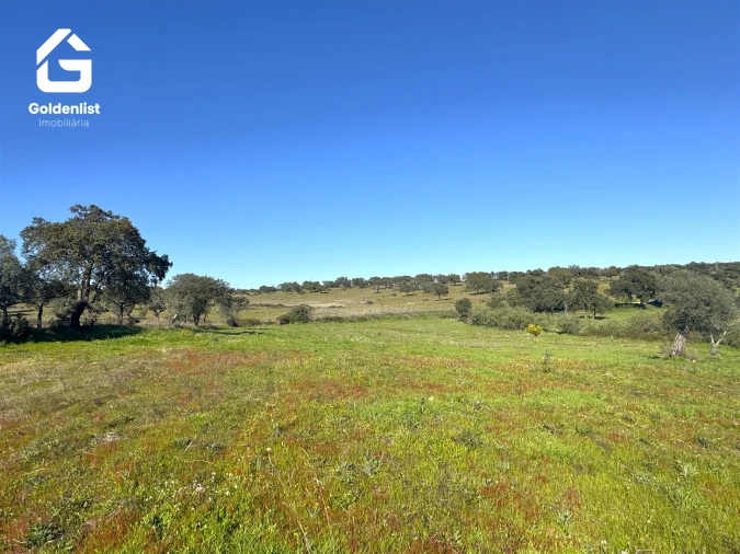 Quinta T0 para Venda em Idanha-A-Nova e Alcafozes Foto 18