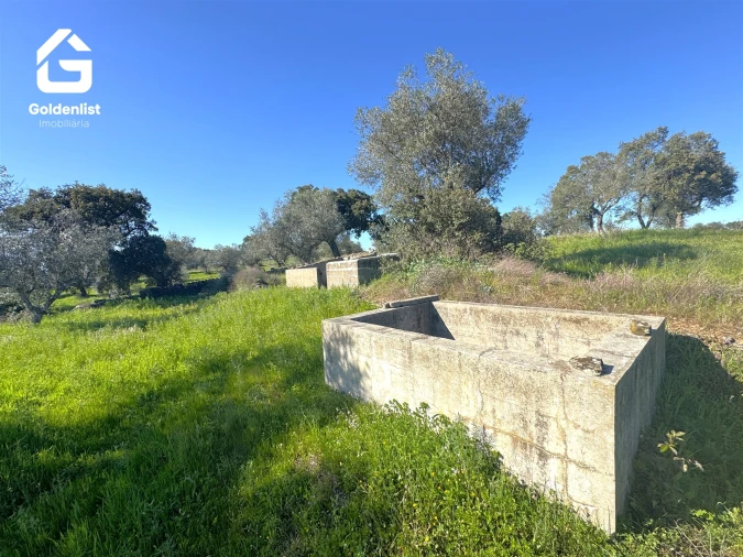 Quinta T0 para Venda em Idanha-A-Nova e Alcafozes Foto 20