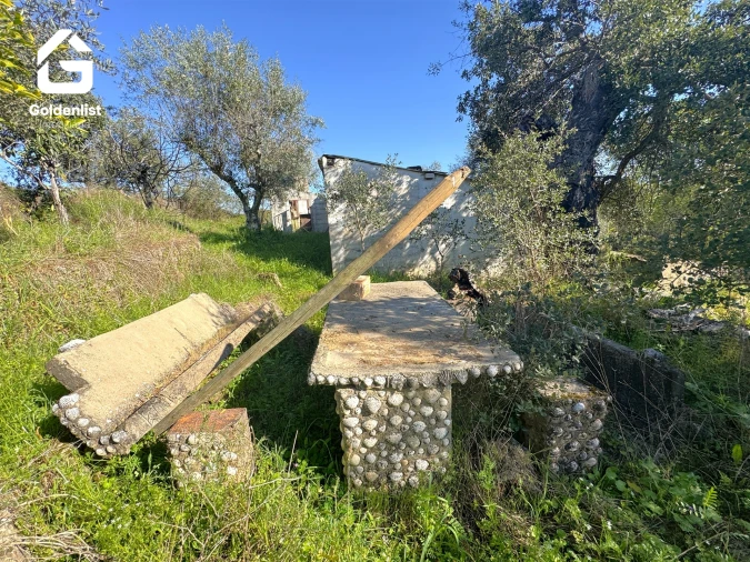 Quinta T0 para Venda em Idanha-A-Nova e Alcafozes Foto 21