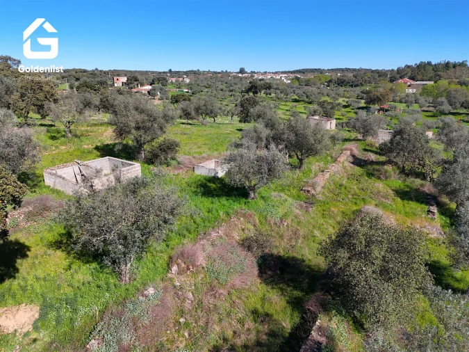 Quinta T0 para Venda em Idanha-A-Nova e Alcafozes Foto 12