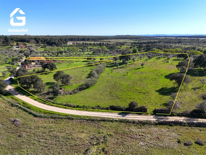 Quinta T0 para Venda em Idanha-A-Nova e Alcafozes Foto 37