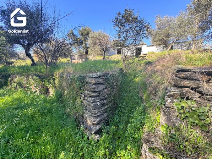 Quinta T0 para Venda em Idanha-A-Nova e Alcafozes Foto 25
