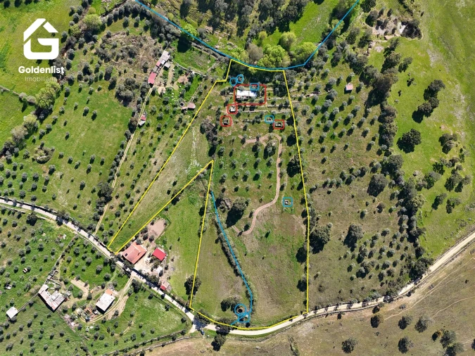 Quinta T0 para Venda em Idanha-A-Nova e Alcafozes Foto 17