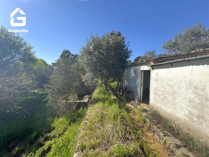 Quinta T0 para Venda em Idanha-A-Nova e Alcafozes Foto 31