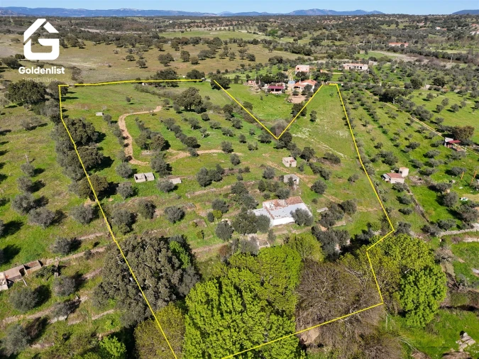 Quinta T0 para Venda em Idanha-A-Nova e Alcafozes