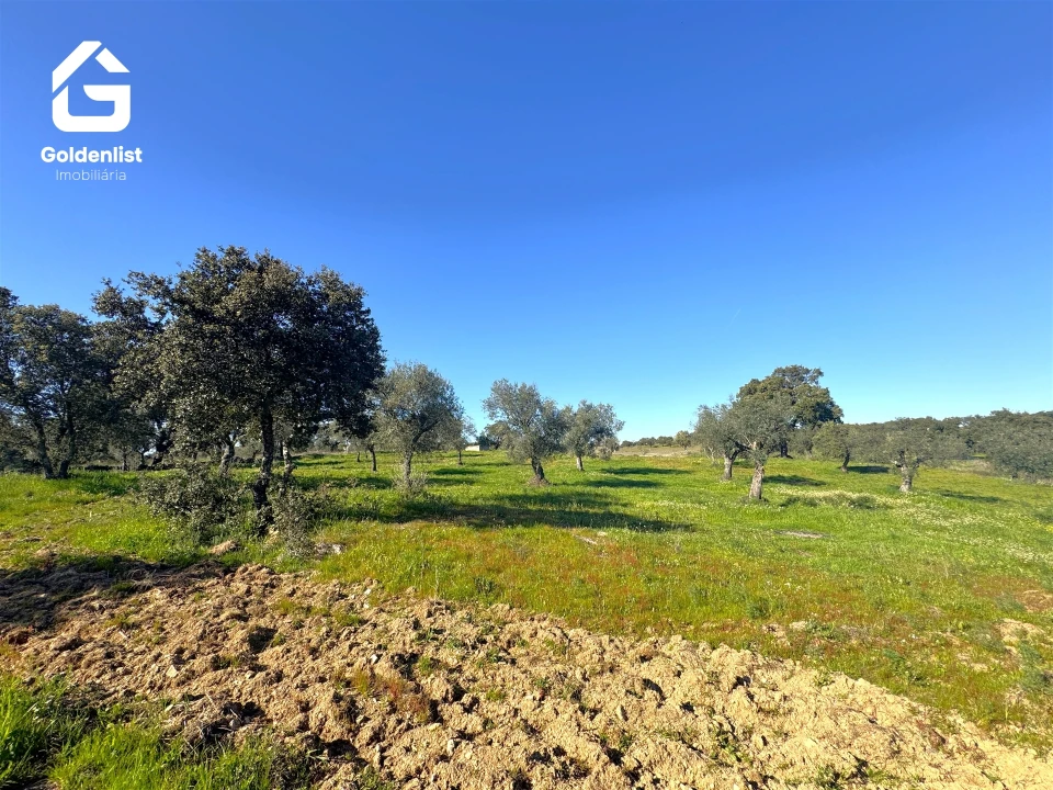 Quinta T0 para Venda em Idanha-A-Nova e Alcafozes Foto 36