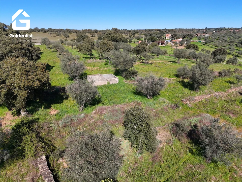 Quinta T0 para Venda em Idanha-A-Nova e Alcafozes Foto 10