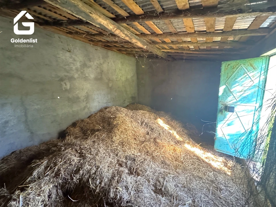 Quinta T0 para Venda em Idanha-A-Nova e Alcafozes Foto 32