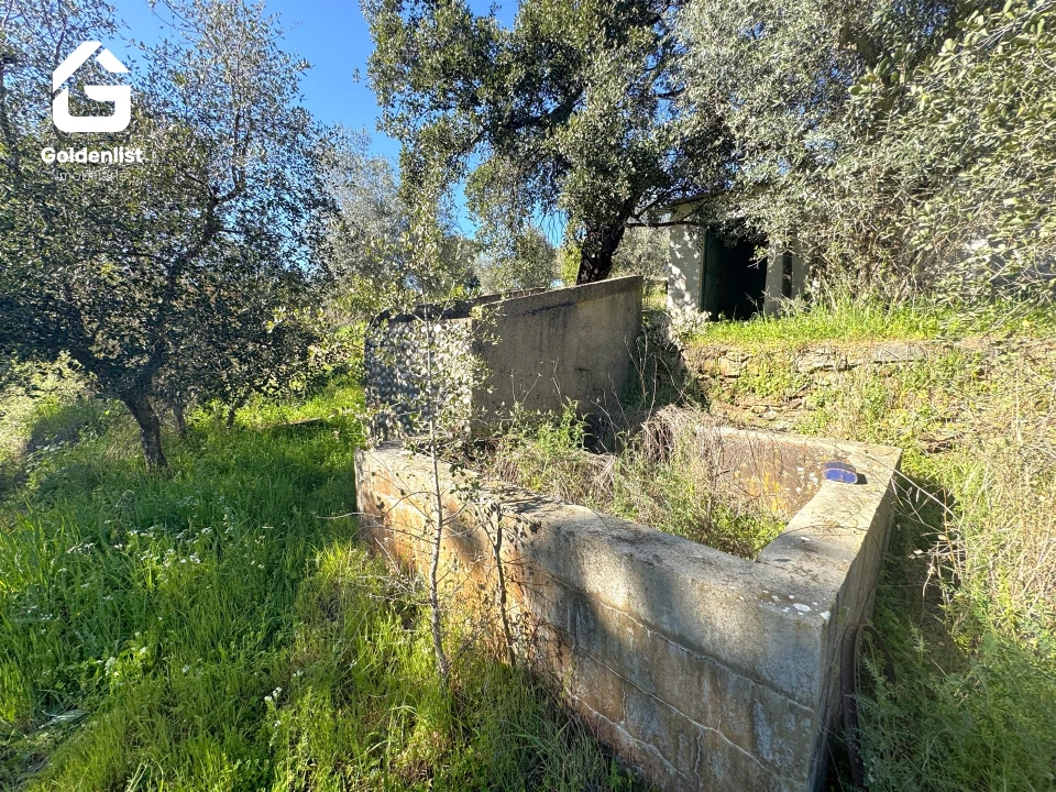 Quinta T0 para Venda em Idanha-A-Nova e Alcafozes Foto 26